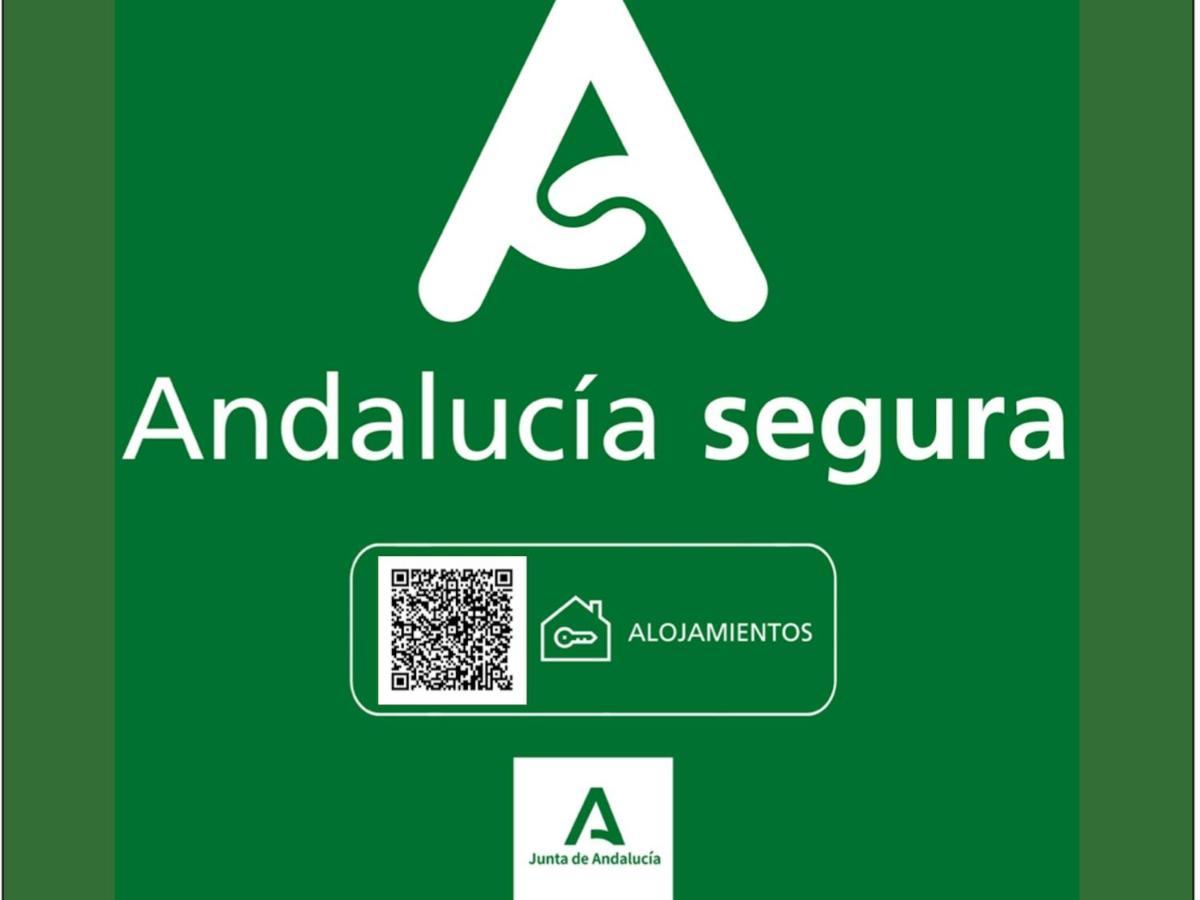 Holidays2malaga Plaza De Toros Vieja & Terrace & Optional Parking Apartament